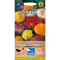 UK/FO-CALIFORNIAN POPPY Single Mixed - image 1