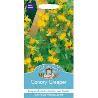 UK/FO-CANARY CREEPER - image 1