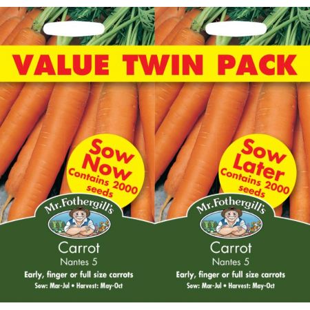 UK/FO-CARROT Nantes 5 Bumper Pack - image 1