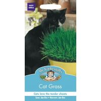 UK/FO-CAT GRASS Avena sativa - image 1