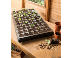 Seed & Plant Raising