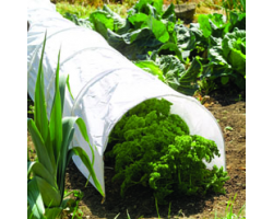Cloches & Growhouses