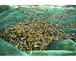 Netting, Fabrics & Plant Protection