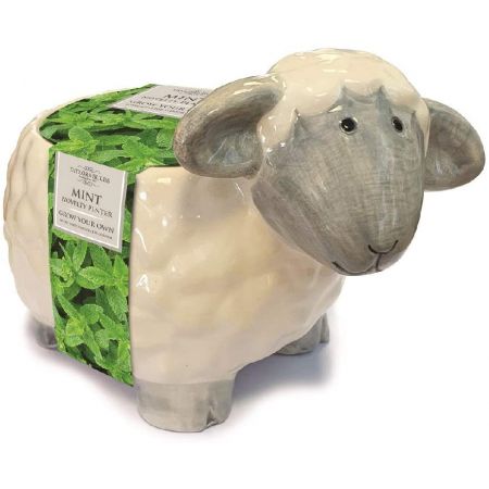 Ceramic Sheep Planter With Mint Seeds