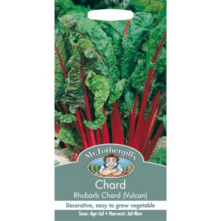 UK/FO-CHARD Rhubarb Chard (Vulcan) - image 1