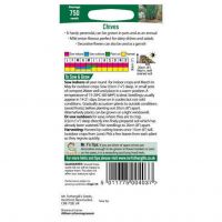 UK/FO-CHIVES - image 2