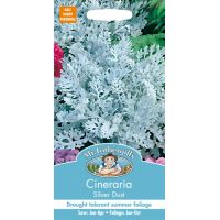 UK/FO-CINERARIA Silver Dust - image 1