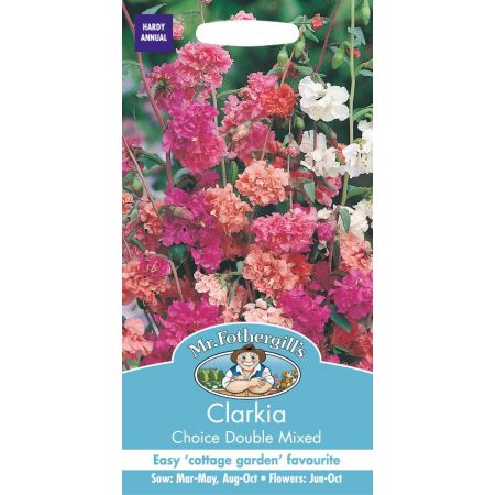 UK/FO-CLARKIA Choice Double Mixed - image 1