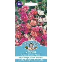 UK/FO-CLARKIA Choice Double Mixed - image 1