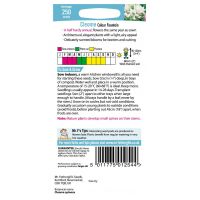 UK/FO-CLEOME Colour Fountain - image 2