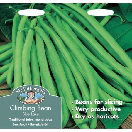 UK/FO-CLIMBING FRENCH BEAN Blue Lake - image 1