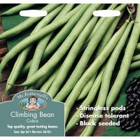 UK/FO-CLIMBING FRENCH BEAN Cobra - image 1