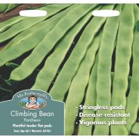 UK/FO-CLIMBING FRENCH BEAN Pantheon - image 1