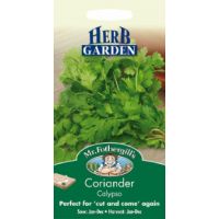 UK/FO-CORIANDER Calypso - image 1