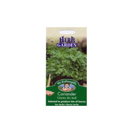 UK/FO-CORIANDER Cilantro (for leaf)