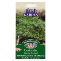 UK/FO-CORIANDER Cilantro (for leaf)