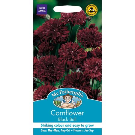 UK/FO-CORNFLOWER Black Ball - image 1
