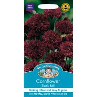 UK/FO-CORNFLOWER Black Ball - image 1