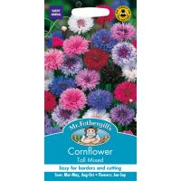 UK/FO-CORNFLOWER Tall Mixed - image 2