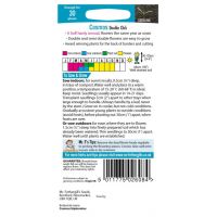 UK/FO-COSMOS Double Click - image 2
