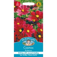 UK/FO-COSMOS Rubenza - image 1