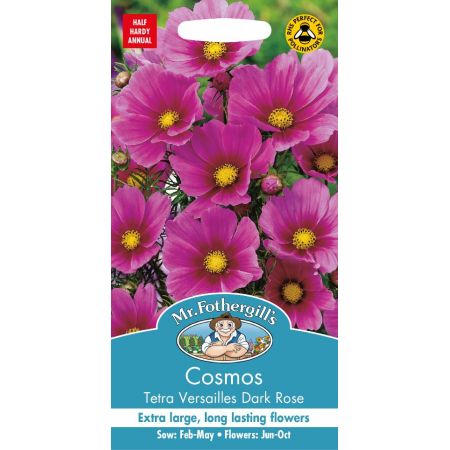 UK/FO-COSMOS Tetra Versailles Dark Rose - image 1