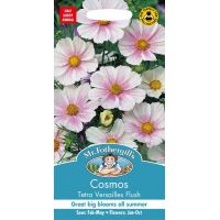 UK/FO-COSMOS Tetra Versailles Flush - image 1