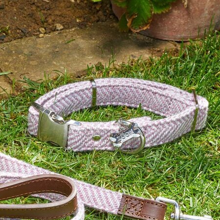 Country - Blush - M - Walkabout Dog Collar (31cm-47cm)