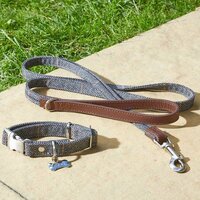 Country - Slate S Walkabout Dog Lead (120cm x 1.5cm)