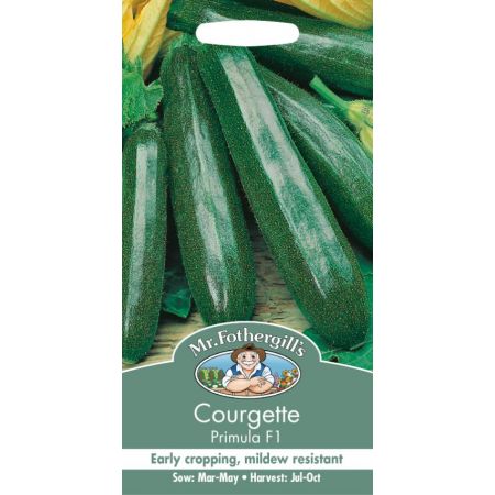 UK/FO-COURGETTE Primula F1 - image 1