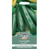 UK/FO-COURGETTE Primula F1 - image 1