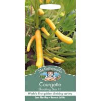 UK/FO-COURGETTE Shooting Star F1 - image 1