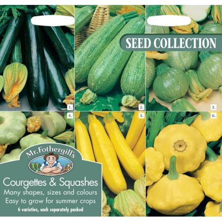UK/FO-COURGETTES & SUMMER SQUASHES COLLECTION - image 1