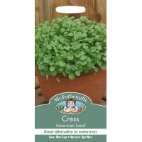 UK/FO-CRESS American Land - image 1