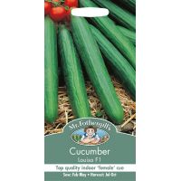 UK/FO-CUCUMBER Louisa F1 - image 1