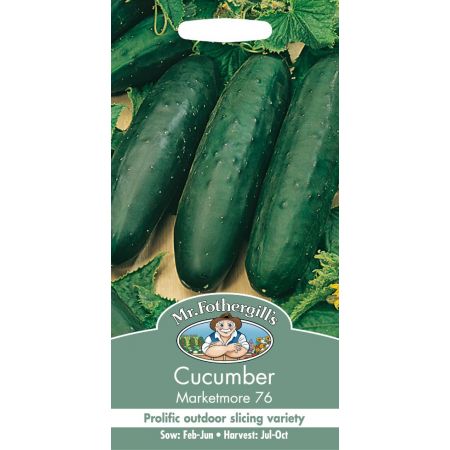UK/FO-CUCUMBER Marketmore 76 - image 1