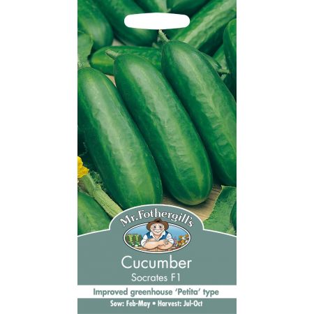 UK/FO-CUCUMBER Socrates F1 - image 1