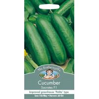 UK/FO-CUCUMBER Socrates F1 - image 1