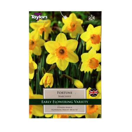 DAFF FORTUNE 7KG