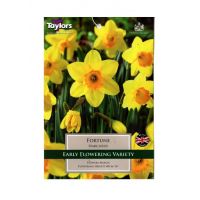DAFF FORTUNE 7KG