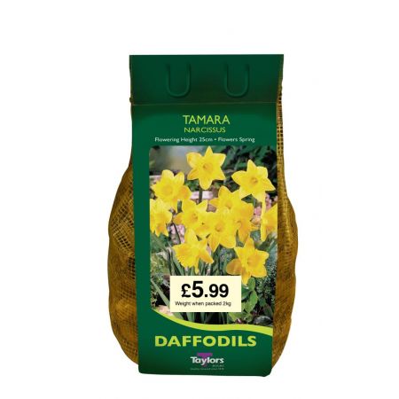 DAFF TAMARA 1.5KG