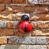 Decor Ladybird Large - image 2