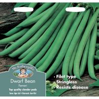 UK/FO-DWARF FRENCH BEAN Ferrari - image 1