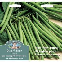 UK/FO-DWARF FRENCH BEAN Rondo - image 1