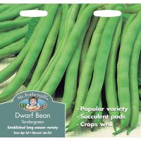 UK/FO-DWARF FRENCH BEAN Tendergreen - image 1