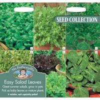 UK/FO-EASY SALAD LEAVES - image 1