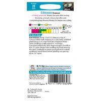 UK/FO-ECHINACEA Dreamcoat - image 2