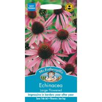 UK/FO-ECHINACEA Large Flowered - image 1