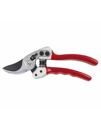 Expert Small Bypass Pruner