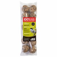 FAT BALL 10 PACK SEED & NUT